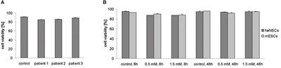 A Safe and Effective Magnetic Labeling Protocol for MRI-Based Tracking of Human Adult Neural Stem Cells